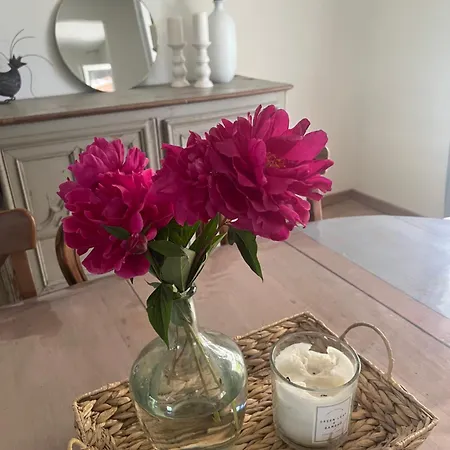 Les Magnolias A 5 Minutes Du Du Der Holiday home