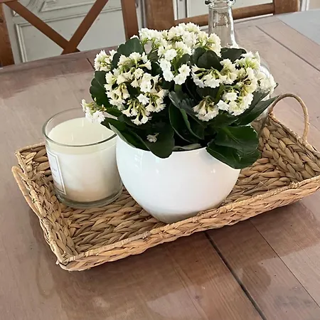 Les Magnolias A 5 Minutes Du Du Der Holiday home *