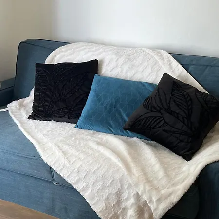 Les Magnolias A 5 Minutes Du Du Der * Ambrieres